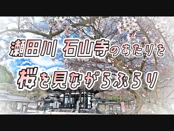 滋賀県散策ポタリング動画：秒速500センチメートル(桜を眺めるツアー)