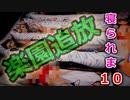 【痛部屋紹介２部屋目】推しの抱き枕カバーを集めすぎるとこうなる・・・眠れぬ夜に苦悩する日々編←減らせ！