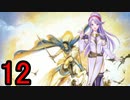 迷軍師と行く！ファイアーエムブレム聖戦の系譜〈12〉