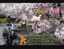 あかりさん達のきまぐれ放浪記28　奈良桜満喫編