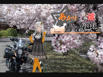 あかりさん達のきまぐれ放浪記28　奈良桜満喫編