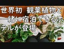 世界初、観葉植物と一緒に宿泊できるホテルが登場／インドの家族が愛犬のために安産祈願の儀式を行う／制汗スプレーを2本丸ごと体に吹きかけた少年、〇〇が凍ってもぎ取れてしまう