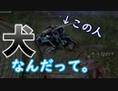 【ELDEN RING】リムグレイブ散歩・犬ナイト編【実況プレイ】#6