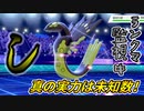 【ポケモン剣盾】vsライ●ロ●！？大手に屈しない†漢の戦い†【ダブルバトル】