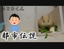 【第十五回】モルモットと聞く怪異譚【さとるくん】