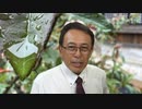 #698_「長尾はデマ！」「長尾ヤブ医者！」…君たち、溜まってるんか？　長尾和宏コロナチャンネル