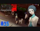 忠犬コロマルとの出会い【ペルソナ3フェス】#35