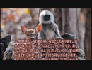 愛のために死す３０