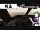 【MSFS2020】インドから出られない【報告】