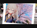 【春日部つむぎ車載】縁結びの神社で桜を満喫するよ～