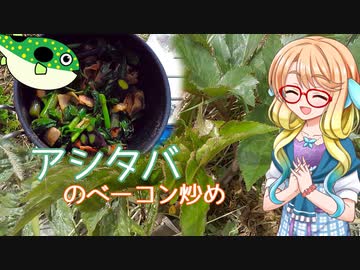 【家庭料理祭】そらさんとお外で食材探し１２　～アシタバのベーコン炒め～