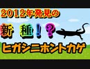ゆっくり解説】実は新種のトカゲだった！？　ヒガシニホントカゲを解説