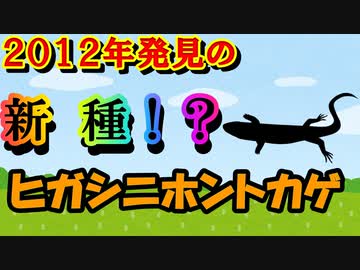 ゆっくり解説】実は新種のトカゲだった！？　ヒガシニホントカゲを解説