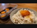 【卵黄の醤油漬け】ニセラルタルのメシラルタル動画