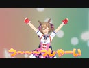 しゃい！