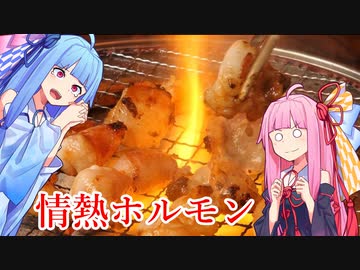 【琴葉姉妹のグルメ録】ホルモンならここしかないでしょ！！《 情熱ホルモン 》