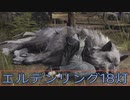 【ELDEN RING】密使生活　18灯目