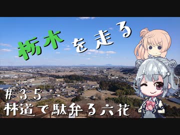 【CeVIO車載】栃木を走る#35   林道で駄弁る六花【#毎月6日は六花の日】