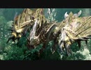【初実況】MHXX part13