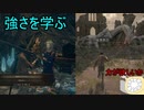 【実況】寄生虫がエルデンリングの世界にやってきたの　１８【初見プレイ】