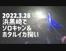 2022.3.28 浜黒崎でソロキャン＆ホタルイカ掬い