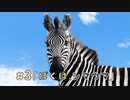 #3ぼくはシマウマ