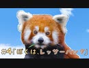 #4ぼくはレッサーパンダ