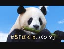 #5ぼくはパンダ