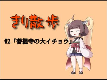 きり散歩　#2「菩提寺の大イチョウ」