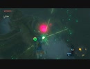 オタメガのブレワイ　06　1/6