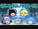 【ゆっくり茶番】チルノの思い出