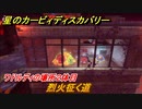 星のカービィ ディスカバリー　烈火征く道攻略　ワドルディの場所２体目どこ？　＃１９１