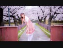 【める】春に一番近い街 踊ってみた【桜】