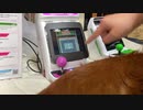 タイトー イーグレット２ミニレビュー（英語）