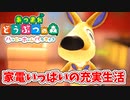 【あつまれ どうぶつの森 ハッピーホームパラダイス実況】別荘？？OK！任せて！アップリケの別荘「家電いっぱいの充実生活」完成編