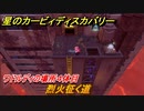 星のカービィ ディスカバリー　烈火征く道攻略　ワドルディの場所４体目どこ？　＃１９３