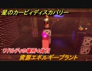 星のカービィ ディスカバリー　資源エネルギープラント攻略　ワドルディの場所４体目どこ？　＃１９８