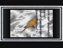 ◆晦-つきこもり　実況プレイ◆part154