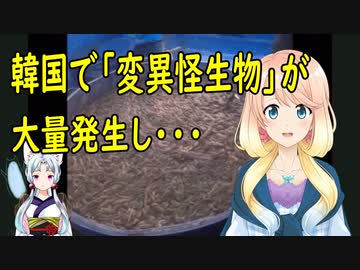 【韓国の反応】韓国で「怪生物」が大量発生し、漁業関係者が致命的な状況になったと吐露【世界の〇〇にゅーす】