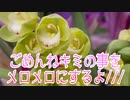 【ASMR】ごめんねキミの事をメロメロにするよ///