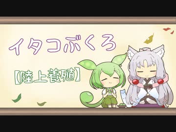 【一口雑学】イタコぶくろ95【陸上養殖】