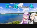 【レコスタ車載】きずゆかふたり旅～part21 そこそこ晴れ？な沖縄旅2