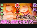 【痛部屋紹介２部屋目】色々とデカいセイバーお姉ちゃんは聖杯戦争には無関心？シロウご飯はまだなのですか？げぇっぷ・・・。まだ食うのかよコイツ／抱き枕カバー紹介