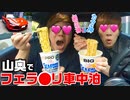 【超過酷？】卵の神&カプ神、山奥でフェ〇ーリ車中泊。【フェ〇ーリ F○２トリブート】