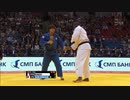 テディ・リネール vs. 七戸龍 14年世界選手権決勝 100kg超級
