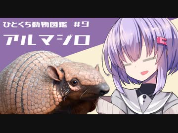ひとくち動物図鑑　#9　アルマジロ　[VOICEROID解説]
