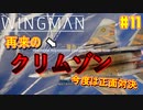 【ゆっくり実況】ほぼ1人で作ったエスコンが凄いらしい Part11【Project Wingman】