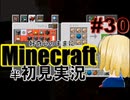 好奇心のままにMinecraftを半初見実況 part30