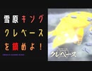 【ポケモンレジェンズアルセウス】雪原キング、クレベースを鎮めよ！編