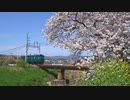 近鉄田原本線と箸尾の桜